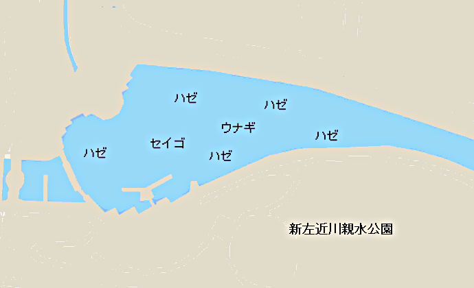 新左近川のポイント