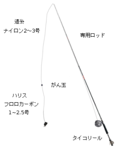 落とし込みタックル
