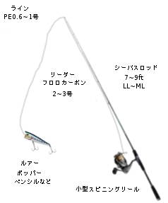 チニングタックル