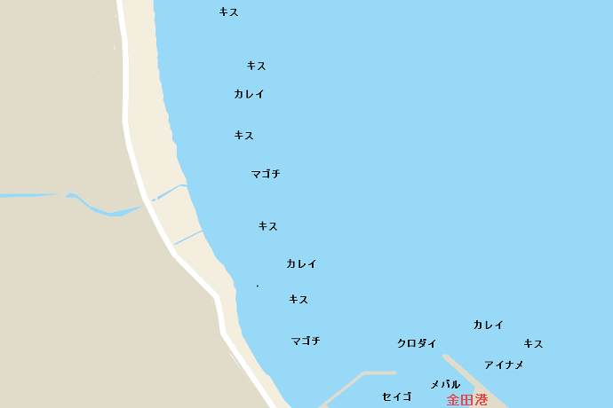 金田海岸ポイント図