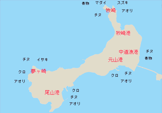 角島の釣り情報 彡 魚速報