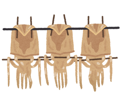 イカのイラスト