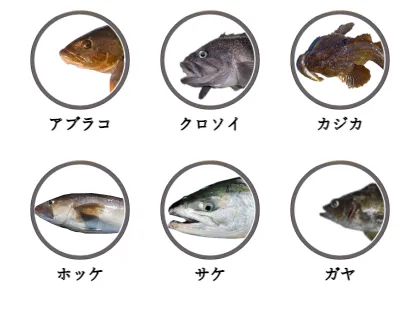 利尻島で釣れる魚（アブラコ,クロソイ,カジカ,ホッケ,サケ,ガヤ）