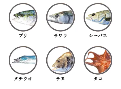武庫川一文字で釣れる魚（ブリ,サワラ,シーバス,タチウオ,チヌ,タコ）