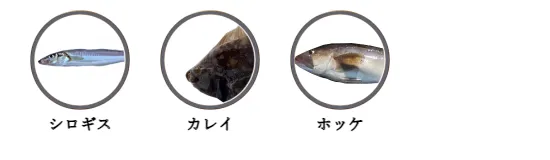 秋田県内の投げ釣りで釣れる魚