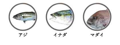 新潟県内のカゴ釣りで釣れる魚