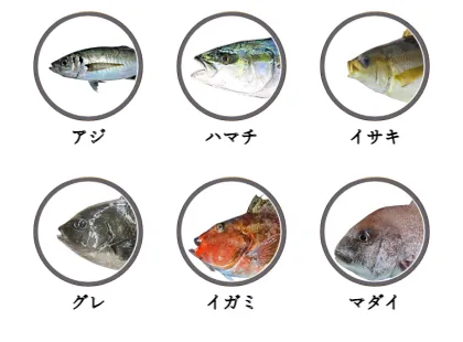 和歌山県のカゴ釣りで釣れる魚