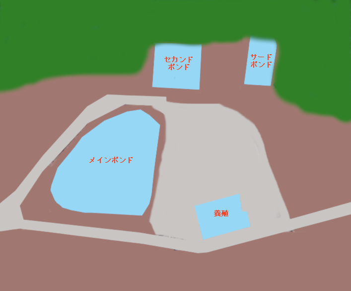 ウォルトンガーデンポイント図